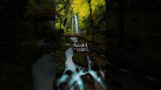 ١٠ أكتوبر ٢٠٢٤ [upl. by Joerg]