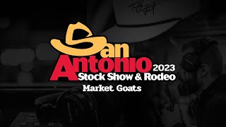 San Antonio Livestock Show 2023  Market Goats [upl. by Ydisac917]