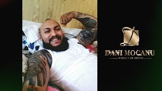 Dani Mocanu  Un sfat pentru dusmani  Official Audio [upl. by Tymothy]