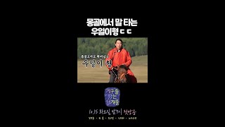 지구를 닦는 남자들 어머니 우일이가 너무 잘해요 말타기를요🐎 MBC 241015 방송 [upl. by Alor]