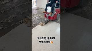 Demoing Old Flooring diy construction satisfying [upl. by Angeli270]