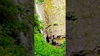 Manoa Falls shortvideo hawaiianisland [upl. by Aryek]