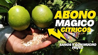 ABONO ORGÁNICO PARA TUS CÍTRICOS 🌿 PLANTAS SANAS Y CON MUCHOS FRUTOS [upl. by Theodoric]