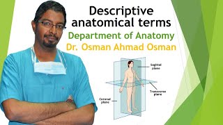 1 descriptive anatomical Terms [upl. by Tabbie]