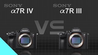 Sony alpha a7R IV vs Sony alpha a7R III [upl. by Akemaj665]