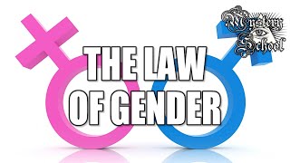 Mystery School Lesson 4 The Law of Gender [upl. by Maroney]