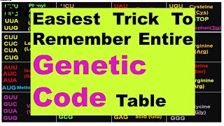 Simplest Mnemonic  Trick for Genetic Codons  Genetic Codes of Amino Acids  Dr Ghanshyam Jangid [upl. by Dierolf]