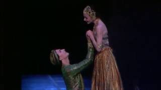 Nikiya amp Solor 1st Act PDD  La Bayadere  POB Guerin  Hilaire [upl. by Enreval239]