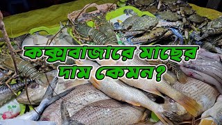 কক্সবাজারের সুগন্ধা বিচে সামুদ্রিক মাছের বাজার Cox Bazar Sea Fish Market [upl. by Nevad757]