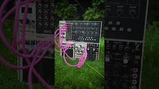 Granular Garden Eurorack [upl. by Ennobe977]