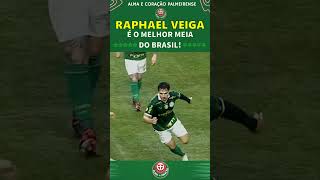 TODA HABILIDADE DE RAPHAEL VEIGA [upl. by Casanova]