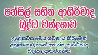 පන්සිල් සහිත ආශිර්වාද බුද්ධ වන්දනාව  BUDHDHA WANDANAWA  DAMDIYA TV [upl. by Aitnahs500]