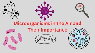 Microorganisms in Air and their Importance  Airborne Microorganisms  AeroMicrobiology Aero flora [upl. by Aniad]