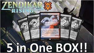 HOW IS THIS POSSIBLE  5 Expeditions in ONE Box  Zendikar Rising Collector Booster Box Opening [upl. by Ssyla]