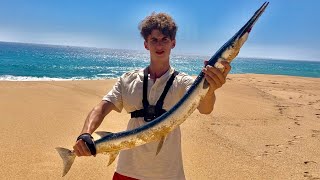 MONSTER Topwater Needlefish Fishing the Mexican Desert [upl. by Annaoj]