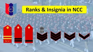 NCC Ranks and Insignia  Ranks in NCC  NCC Ranks in Hindi  SUO JUO CQMS SGT CPL LCPL CDT [upl. by Margo]