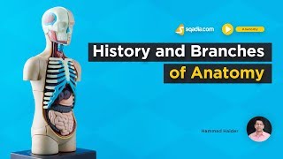 History and Branches of Anatomy  Medical Students Online Courses  sqadiacom [upl. by Buffo]