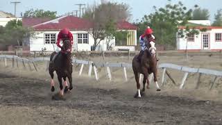 Barbuda 26 June 2022 Race 5 [upl. by Itra]