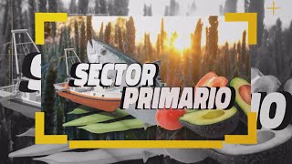 Sector Primario 21 de octubre de 2024 21 10 24 [upl. by Paresh]