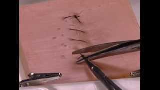 How to Perform a Simple Running Skin Closure suture travel on top [upl. by Heilner]