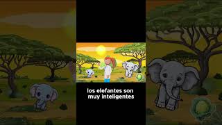 😨😨🐘🐘Conoce al elefante el gigante inteligente😨😨🐘🐘😨😨🐘🐘 reels funny niños parati divertido [upl. by Enerol177]