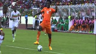 Mali Ivory Coast 11 24012015 ملخص مباراة مالي ساحل العاج كاس افريقيا 2015 [upl. by Tunk]