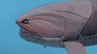 Dunkleosteus  Smaller and Rounder Than Expected [upl. by Price]