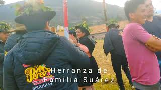 Herranza de vacas en Huachocolpa [upl. by Horner]