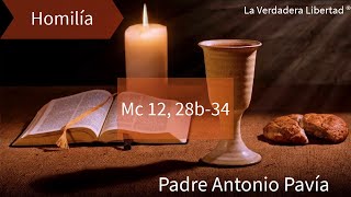 Homilía padre Antonio Pavía Mc 12 28b34 quotAMARÁS AL SEÑOR TU DIOSquot [upl. by Cahilly]