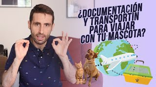 ¿Qué documentación y transportín necesito para viajar en avión con mi mascota [upl. by Walls942]