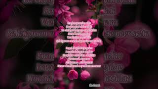 Chillena oru mazhai thuli song lyrics tamil love tamillovesonglyrics song tamilsong trending [upl. by Krasner216]