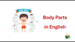 body parts in English [upl. by Valiant]