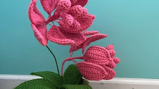 Flor 🌺 Medinilla paso a paso 🥰🧶 [upl. by Ydneh758]