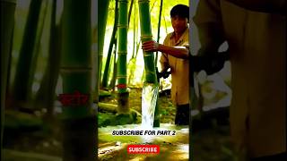 Bamboo Water Store🎍 youtubeshorts facts nature beautiful motivation [upl. by Rodd801]