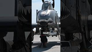 Reasons Why Military Planes Have Shark Faces [upl. by Flieger]