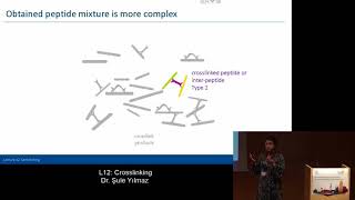 MQSS 2018  L12 Crosslinking  Şule Yılmaz [upl. by Ymirej868]