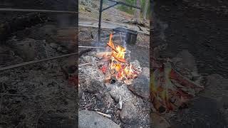 camping grilling grill sausages fire food shortsbeta asmr fyp shorts [upl. by Conney98]