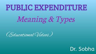 Public Expenditure  Meaning amp Types [upl. by Salomone487]