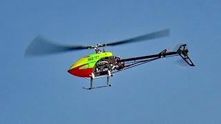 BLADE 360 CFX RC MODEL HELICOPTER FLIGHT DEMONSTRATION  01042017 Beerfelde Germany [upl. by Ised]