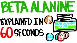 Beta Alanine Explained in 60 Seconds  Better Than Your Typical Supplement [upl. by Nosahc26]