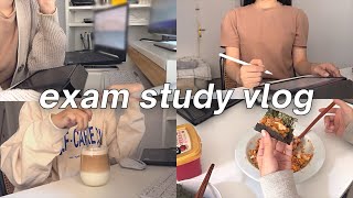 Exam Study Vlog  what I eat in almost a week making an app lots of studying and food [upl. by Romilda773]