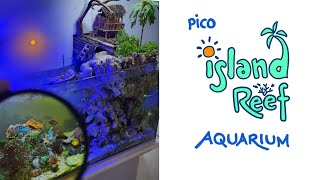 Island Reef Aquarium  1 year update [upl. by Eirallih]