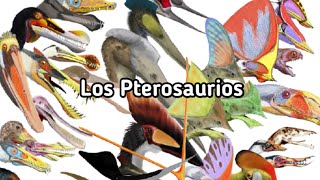 ¿Qué son los Pterosaurios [upl. by Aelyk114]