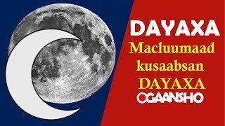 Dayaxa  maxaad ka taqaanaa   macluumaad dayaxa ku saabsan [upl. by Anehsak]