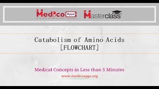 CATABOLISM OF AMINO ACIDS [upl. by Maillw]