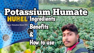 HubelSuper Potassium Humate 95 Organic Plant Growth Regulator Use and Benefits [upl. by Chrysler]