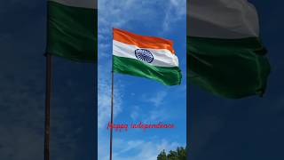 chak de india  happy independence shorts short feed satish morgan36 15 August 2024 [upl. by Pollux853]