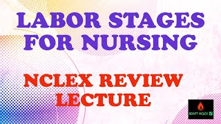 Nursing Stages of Labor  Nursing Concepts on NCLEX  NCLEX Review Lecture  maternity  ADAPT NCLEX [upl. by Lardner823]