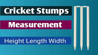 cricket stumps measurements  cricket stump size  cricket stumps height cricket wicket length [upl. by Lindner562]