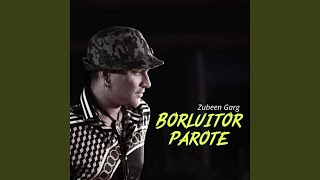 BORLUITOR PAROTE [upl. by Aniaz]